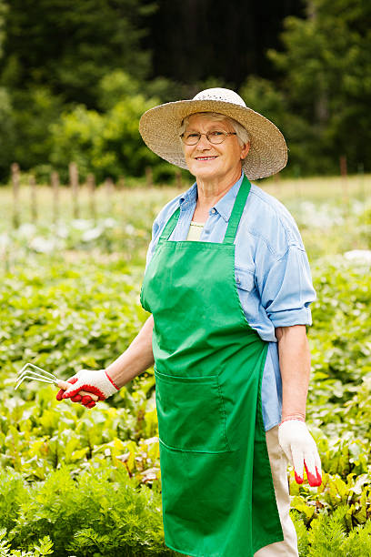 donna anziana giardinaggio - manual worker glasses gardening domestic life foto e immagini stock