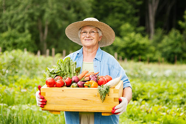 donna anziana con verdure - women mature adult smiling cheerful foto e immagini stock