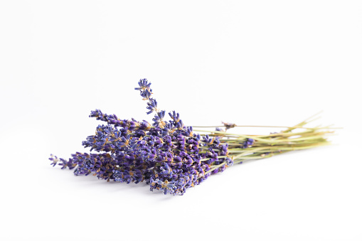 Lavender flowers isolated on white background.Flat lay.Fragrant flowers.Holiday concept.Summer flowers.organic flowers.