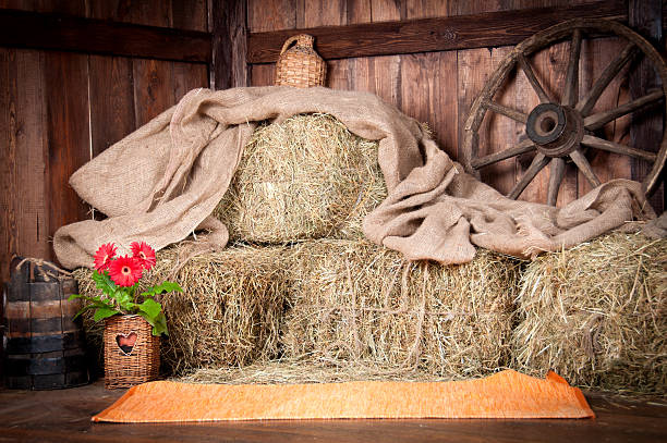istock Interior of the building, village. 163206352