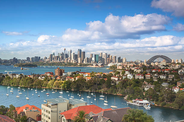 istock Panorama of Sydney skyline 163206929