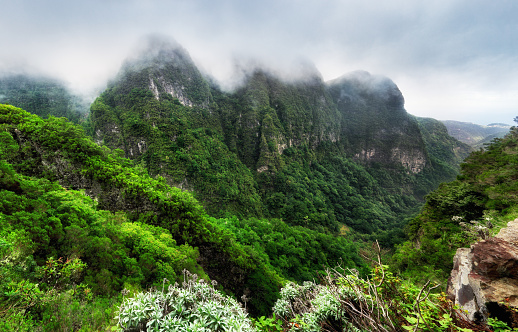 Mountain rainforest landscape. View of mountains on the route Queimadas Forestry Park - Caldeirao Verde. Madeira Island, Portugal, Europe.