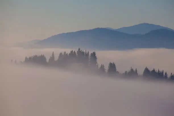 Morning fog in the Carpathian mountains, Ukraine