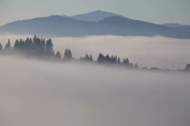 Morning fog in the Carpathian mountains, Ukraine