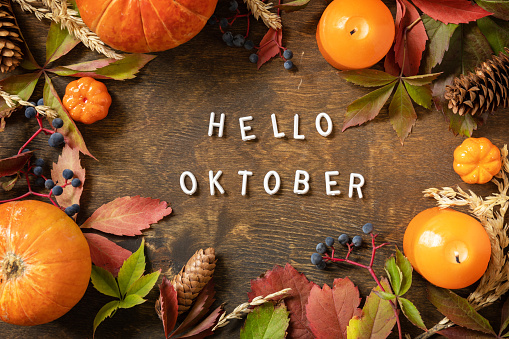 Hello oktober text, autumn season. Greeting card, fallen leaves, pumpkins and cones on a wooden board. Autumn natural background. View from above.