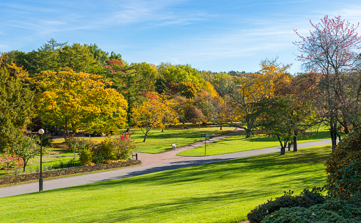 Seasonal landscape, autumn scene in Greenwich park, London