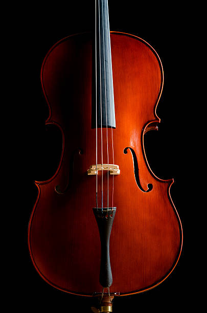 istock Violin in dark room  - music concept 163208485