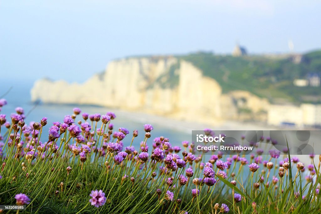Normandie Landschaft - Lizenzfrei Alabasterküste Stock-Foto