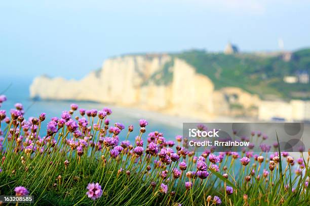 Normandie Landschaft Stockfoto und mehr Bilder von Alabasterküste - Alabasterküste, Ast - Pflanzenbestandteil, Baumblüte