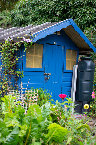 Stylish garden shed in allotment garden.
