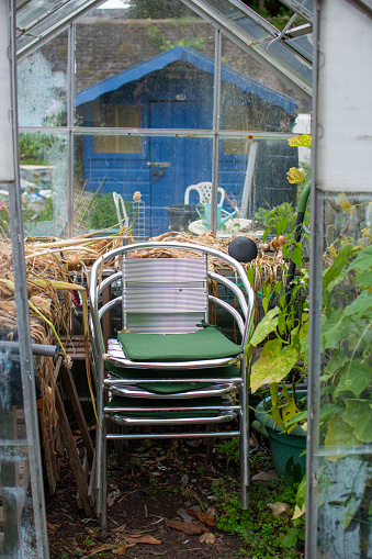 Stock of modern chairs inside a greenhouse on a community allotment.