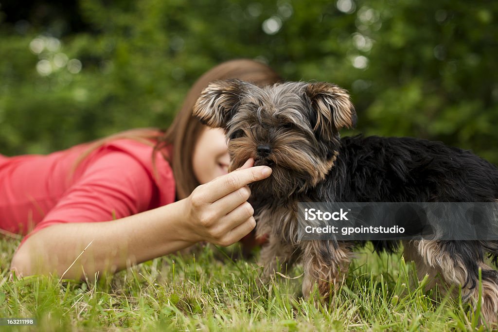 Mujer alimentación de cachorro - Foto de stock de Acostado libre de derechos