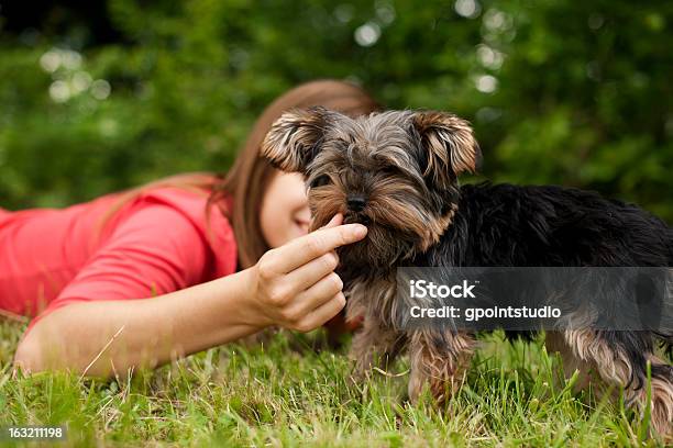 Mujer Alimentación De Cachorro Foto de stock y más banco de imágenes de Acostado - Acostado, Adolescente, Adulto