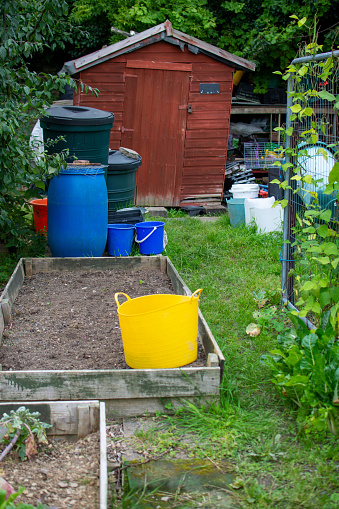 Colorful trug and water butts with shed in allotment garden.