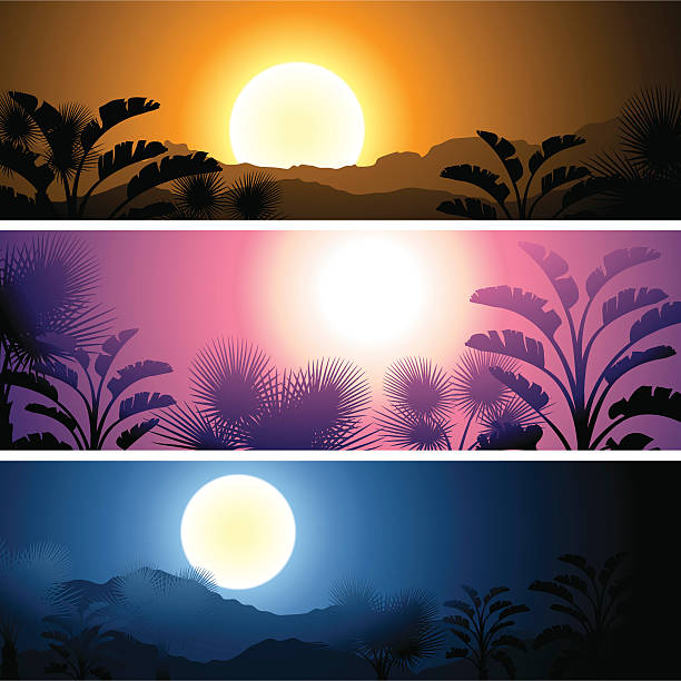 ilustrações de stock, clip art, desenhos animados e ícones de conjunto de banners de paisagem tropical. - rainforest tropical rainforest forest moonlight