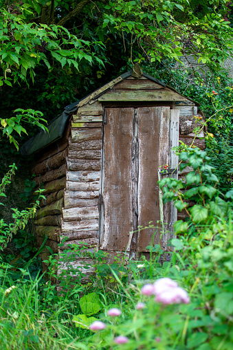 Timber clad shed in a corner of an allotment garden.