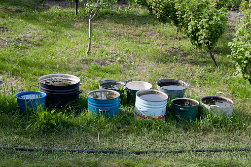 Old large pots and buckets of water in garden. Warm water for watering plants in kitchen garden. Tanks for collecting and heating rain and tap water in summer. Outdoor. Agriculture.