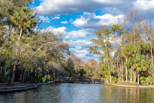 Tropical lake surrounded by tropical trees at sunset in Wekiwa Springs State Park, Florida