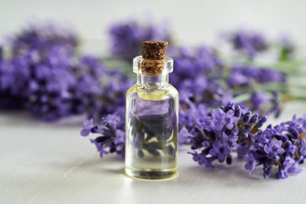 istock Lavender essential oil on a white table 1632208153