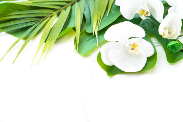 istock Palm leaves, hat and tropical flowers on white. 1632217877