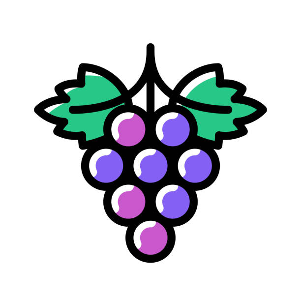 ilustrações de stock, clip art, desenhos animados e ícones de grapes line art - grape bunch fruit stem