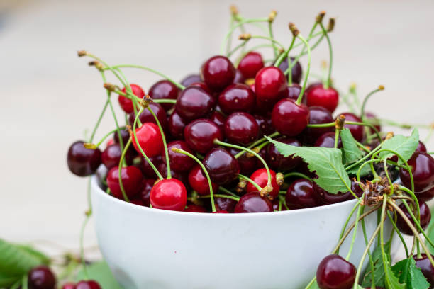 istock Freshly picked leaf cherries in white bowl 1632223925
