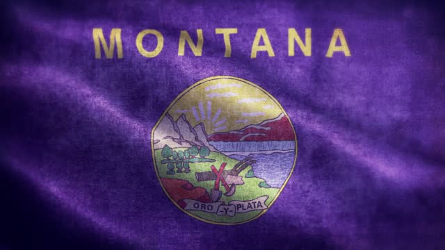 American State Closeup of grunge Montana waving flag loopable stock video