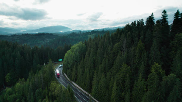 istock Aerial view  of road winding through forest 1632263500