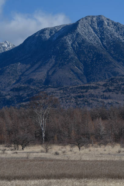 istock Odashirogahara in Nikko National Park 1632274598