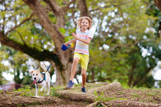 istock Child and dog walk in summer park 1632301683