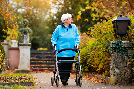 Happy senior handicapped lady with a walking disability enjoying a walk in an autumn park pushing her walker or wheel chair. Aid and support during retirement. Patient of nursing home or care center.