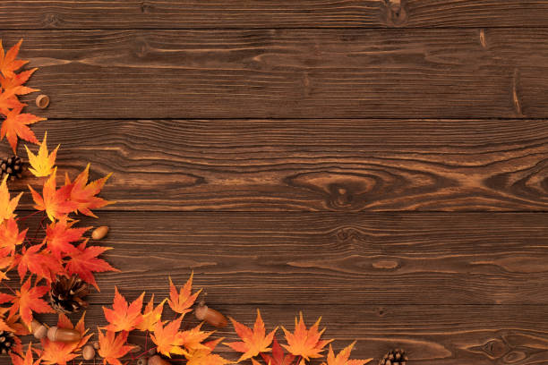 istock Vintage Wooden Background with Fall Foliage Border 1632308049