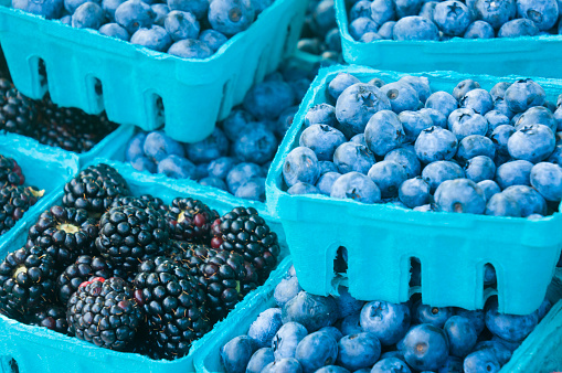 Blue paperboard boxes of freshly picked blueberries and blackberries weekly farmers market on Cape Cod.