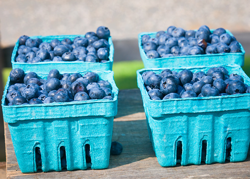 Blue paperboard boxes of freshly picked blueberries at a weekly farmers market on Cape Cod.