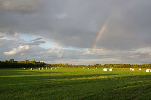 Meadow with rainclouds in a dark sky and a glimpse of a rainbow.