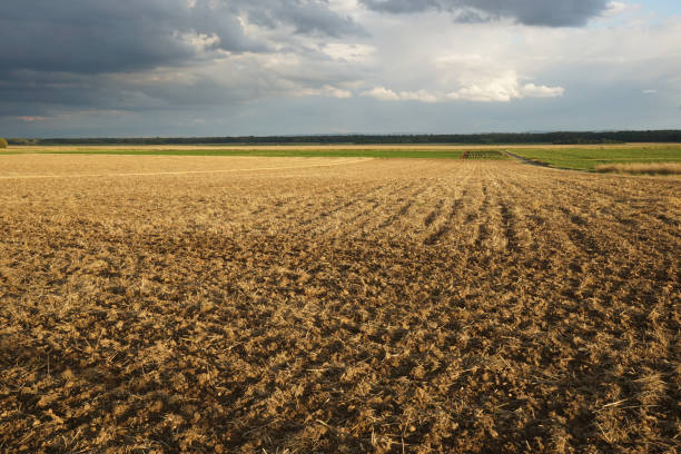 istock dark cloud above harvested field 1632358844