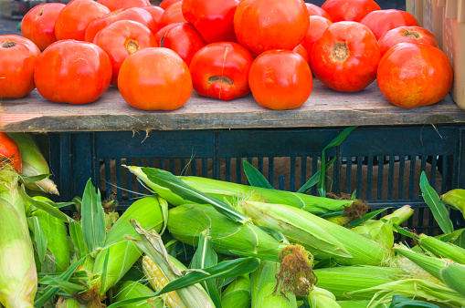 Red, ripe tomatoes and ears of fresh corn  displayed a a weekly Cape Cod farmers market.