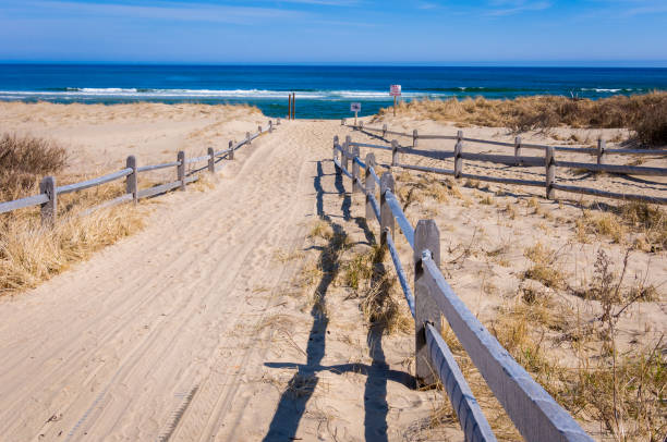 해안 경비대 해변으로 가는 길 - cape cod national seashore 뉴스 사진 이미지