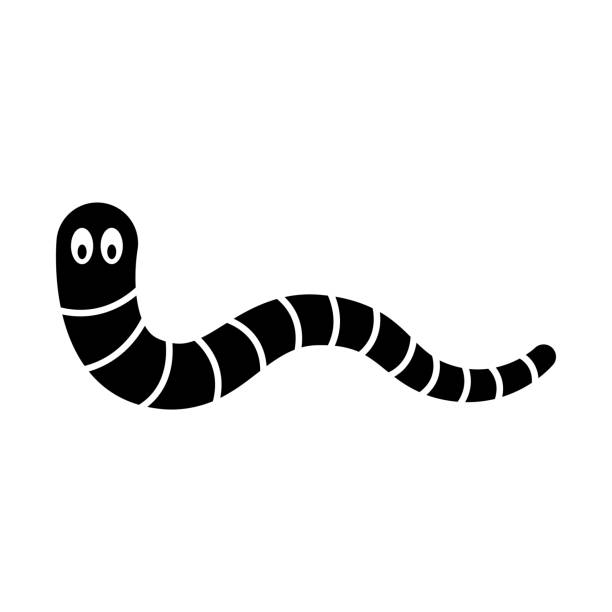 ilustrações de stock, clip art, desenhos animados e ícones de worm icon. black silhouette. front side view. vector simple flat graphic illustration. isolated object on a white background. isolate. - worm cartoon fishing bait fishing hook