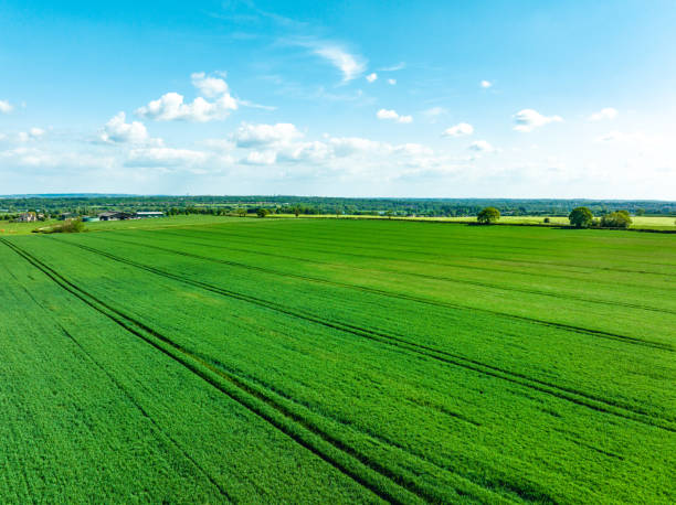 istock Directly above views of fields in England 1632424673