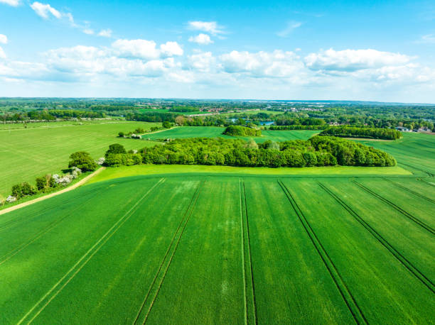istock Directly above views of fields in England 1632424999