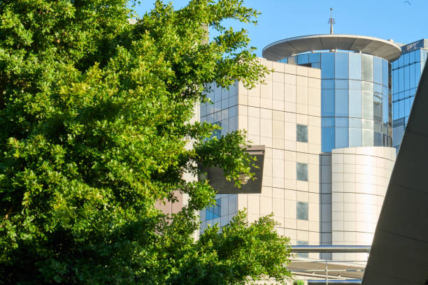 istock Modern buildings surrounded by trees in city 1632439219