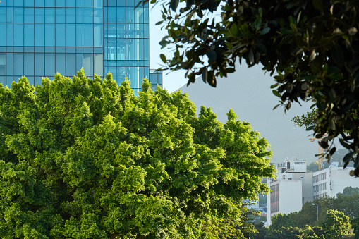 Modern building with blue glass windows seen through trees.