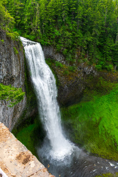 istock Salt Creek Falls, Oregon, USA 1632441452