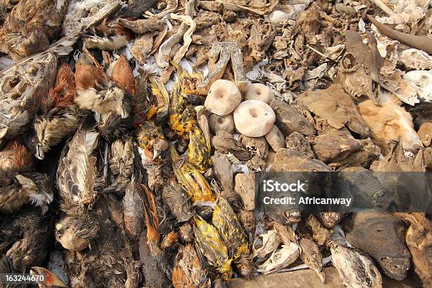 Foto de Voodoo Suprimentos No Akodessewa De Fetiche Mercado Na África Ocidental e mais fotos de stock de Cão