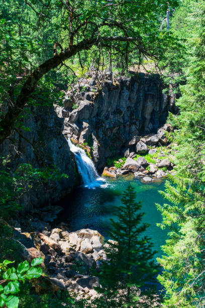 istock McCloud Falls, Shasta National Forest, CA 1632451984