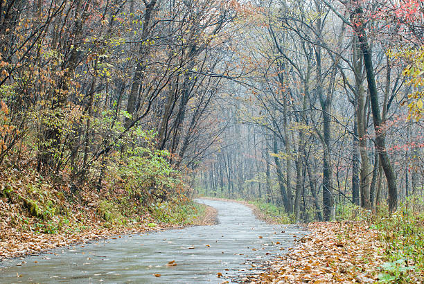 istock Autumn mountain forests 163246658