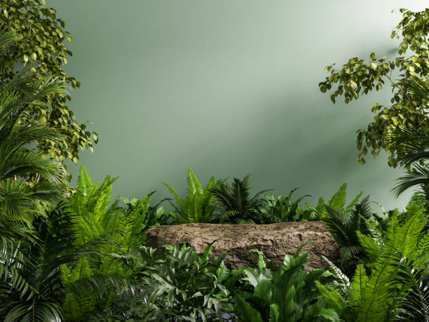 istock Stone platform pedestal in tropical forest for product presentation and green forest 1632496079