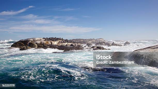 Мыс Меха Печати — стоковые фотографии и другие картинки Cape Peninsula - Cape Peninsula, Hout Bay, Атлантический океан