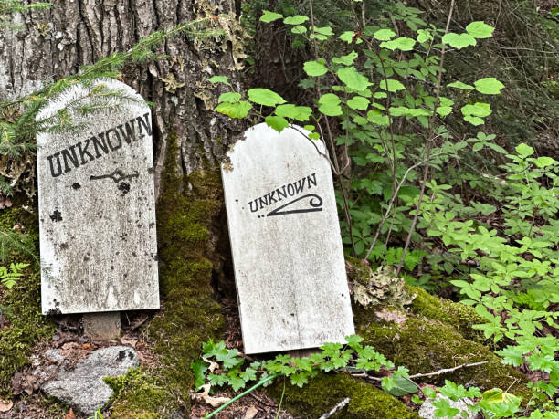 Unknown graves sit in the Gold Rush Cemetery in Skagway, Alaska Tombstones marked "Unknown" sit in a cemetery of graves of people buried in Skagway in the late 1800's and early 1900's which encompasses the gold rush time period. alaska gold rush stock pictures, royalty-free photos & images